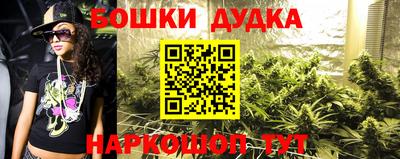 сатива Ноябрьск