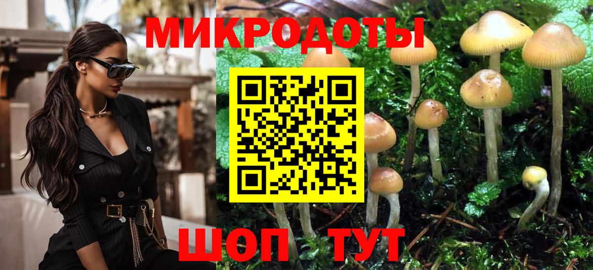 Александров  Псилоцибиновые грибы ЛСД  Вход с VPN 